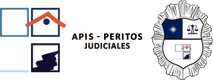 APIS Peritos Judiciales